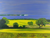 Blick auf Kap Arkona