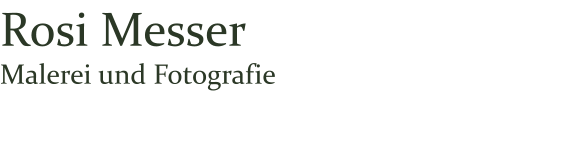 Rosi Messer Malerei und Fotografie